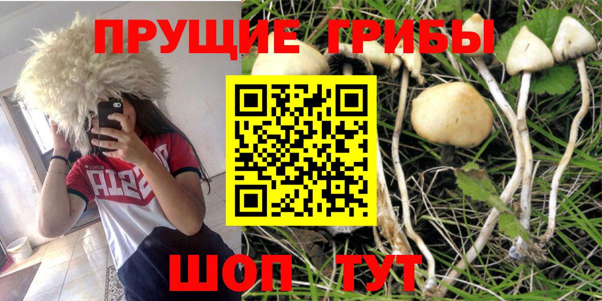 Галлюциногенные грибы Magic Shrooms  Вход с VPN  как найти закладки  Красноуфимск 
