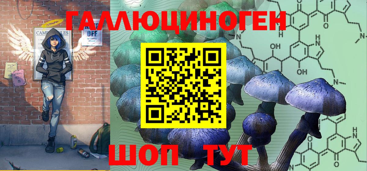 Галлюциногенные грибы Psilocybine cubensis Красноуфимск