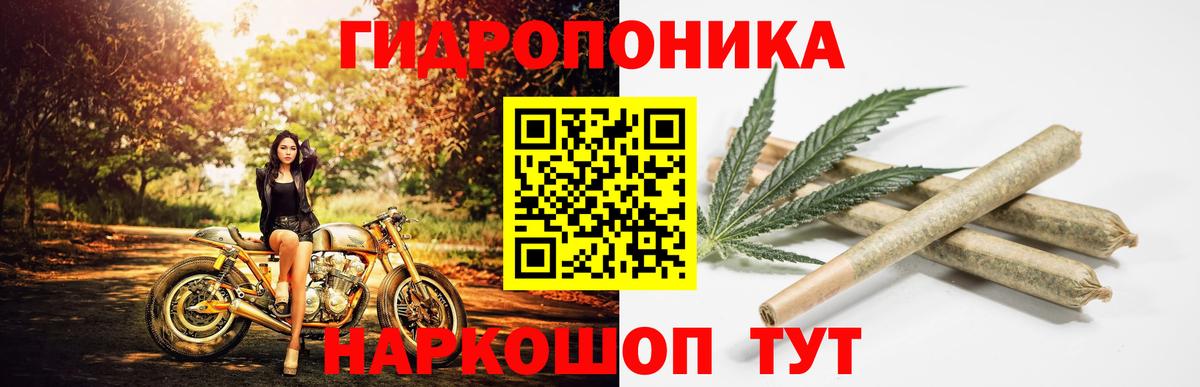 Канабис план Красноуфимск